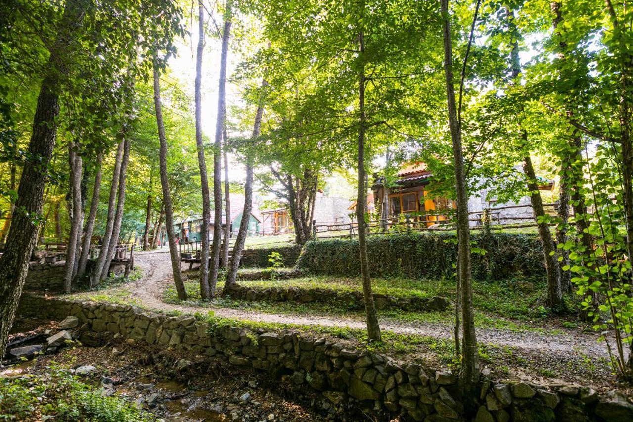 Hindiba Doga Evi Hotel Mengen Exterior foto